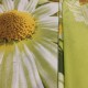 Бязь для постельного белья (010834)