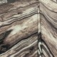 Бязь для постельного белья (010869)